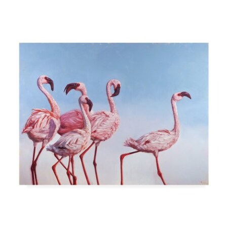 Lucia Heffernan 'Pink Ladies Flamingos' Canvas Art,24x32